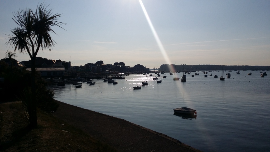 The Boats in Poole Harbour 